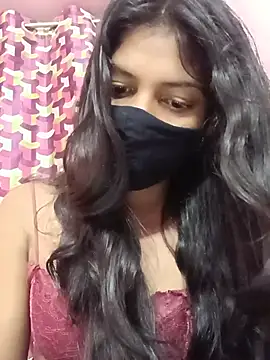 Amira-school webcam