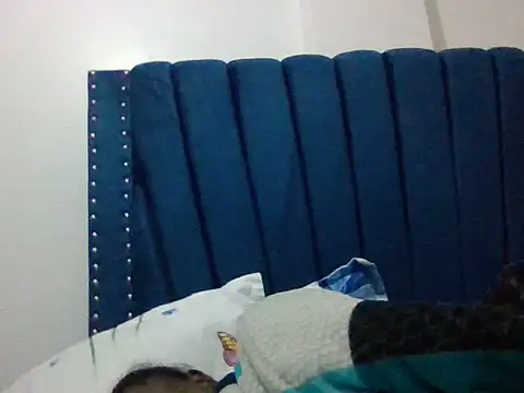 pilalred webcam