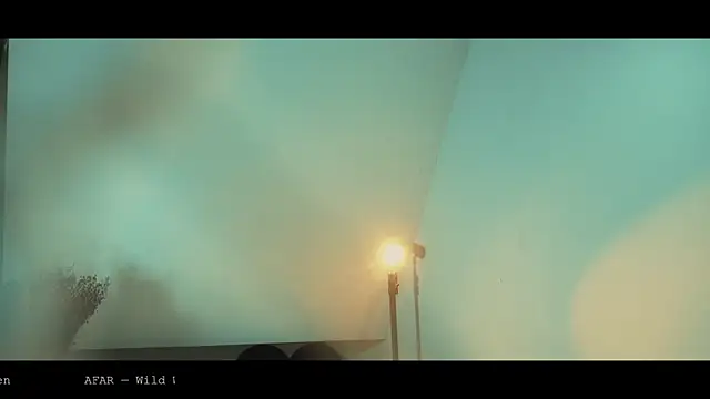 WebCora webcam