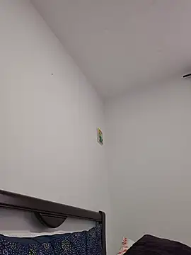 IrisBound webcam