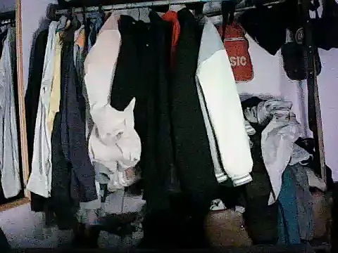 TryingExpiry webcam