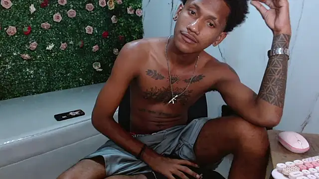 ManSant webcam