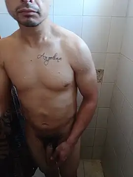 Al3vr live cam