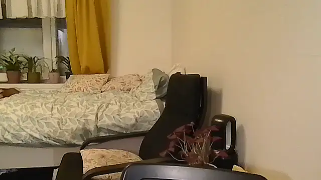 belgianshantie webcam