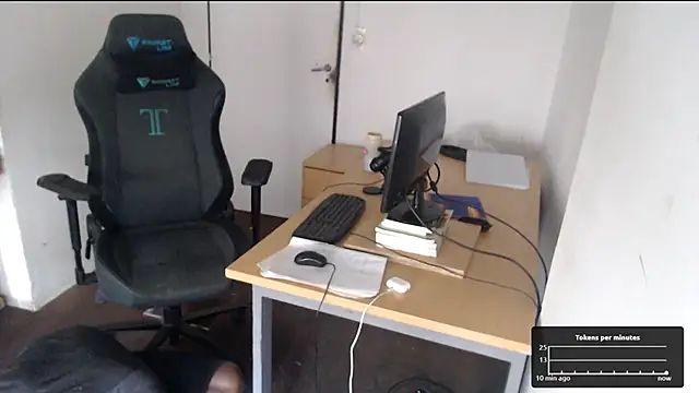 Mastertopdome webcam