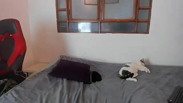 oliver_price1 webcam