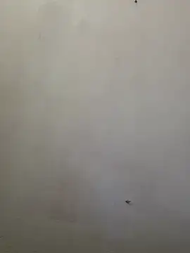 khayaal webcam