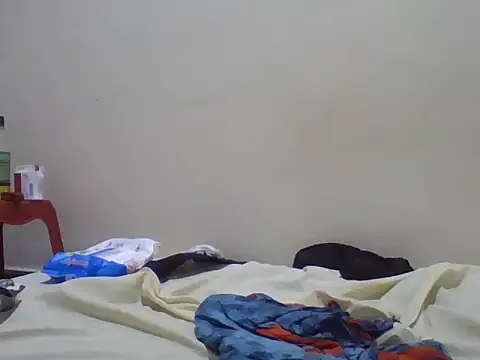 Swt_pie webcam