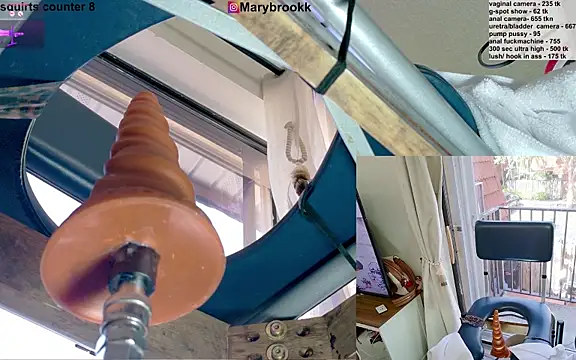MaryBrook1 webcam