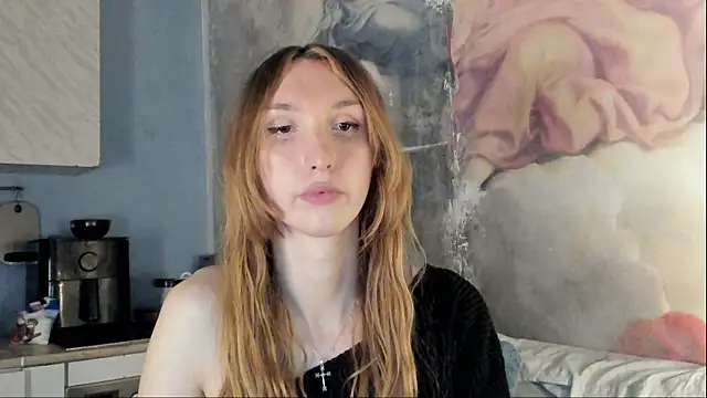 LisaIcon webcam