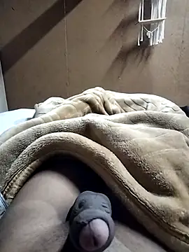 Virgineguy123 webcam