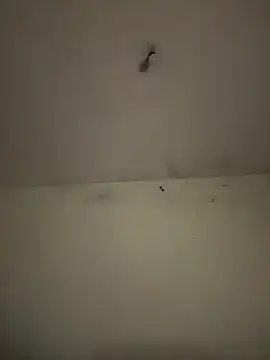 arabayla webcam