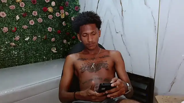 ManSant webcam