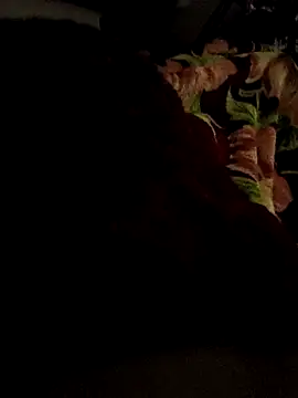 Rohit143x live cam on StripChat