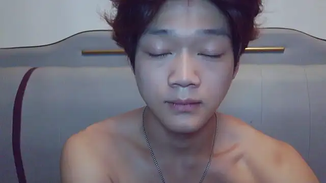 XJ-XIAOXIAO webcam