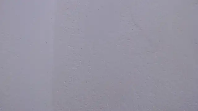 carolina_zabala_19 webcam