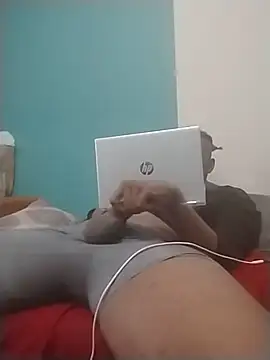 ReallyReallyReal webcam