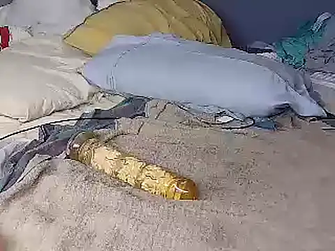 k-dong webcam