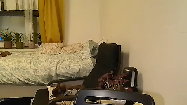 belgianshantie webcam