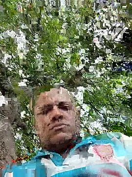 69pa webcam