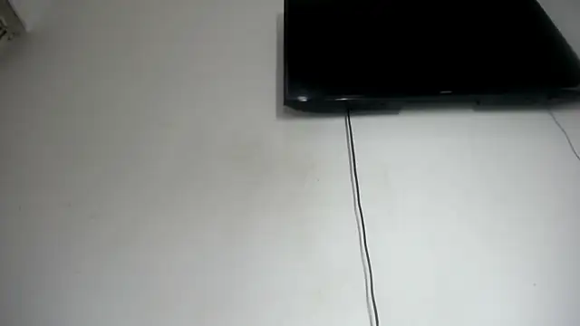 Fox_Loves