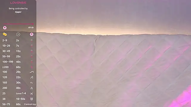 Ellijoys webcam