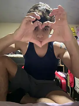 valdren_vylord webcam