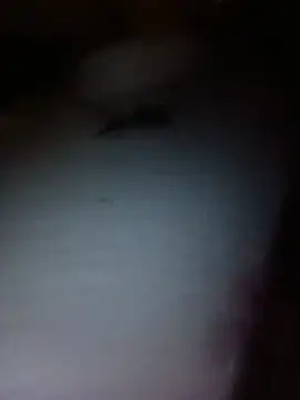 Ary- webcam