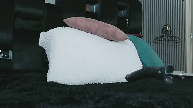 levana1 webcam