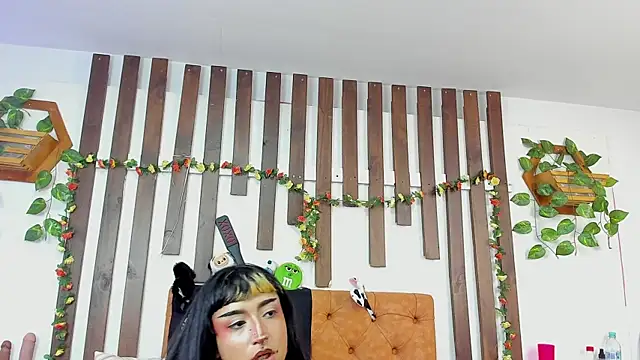 MeowMota_ webcam