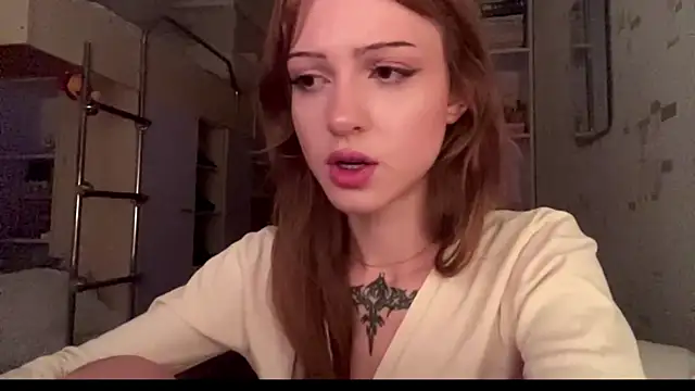 chipsis webcam