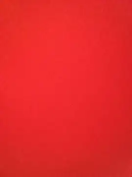 WildBruno_ webcam