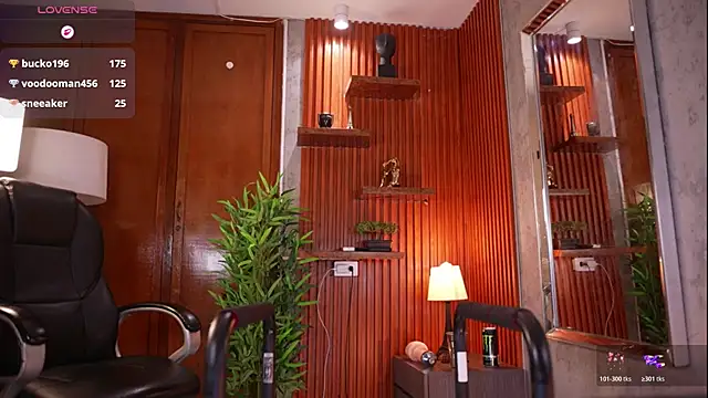 David_capizzi_ webcam