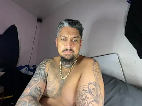 Vision1285 webcam