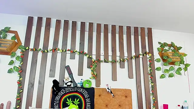 MeowMota_ webcam