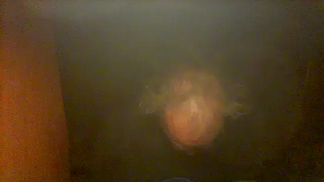 nice6incs webcam