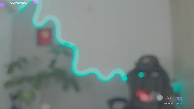 LauPolett webcam