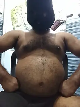 Hiptonos webcam