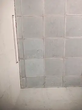 Zu_naa webcam