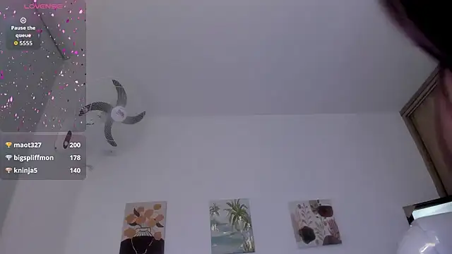 Walton_abieca_ webcam