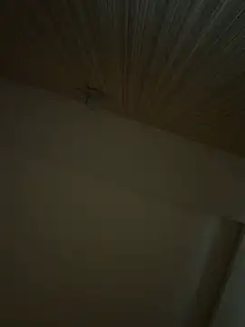 boyhigh1997 webcam
