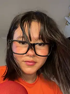 ivi_sunny webcam
