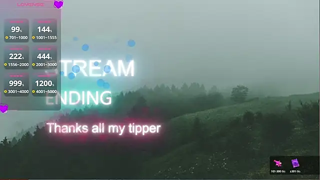 SheerWhisper webcam