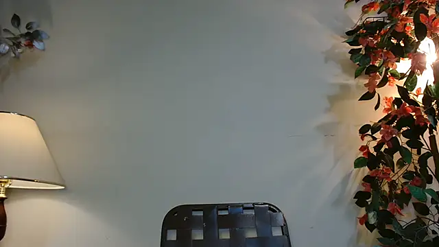3littles webcam