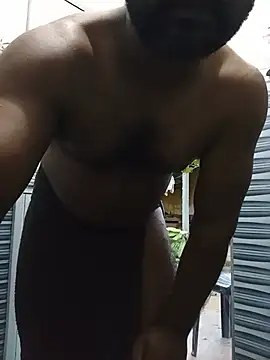 Hiptonos webcam