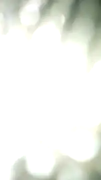 ZeldaSneakyLink webcam