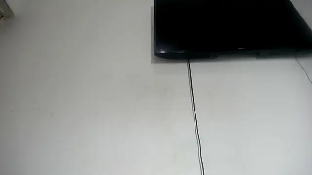 Fox_Loves webcam
