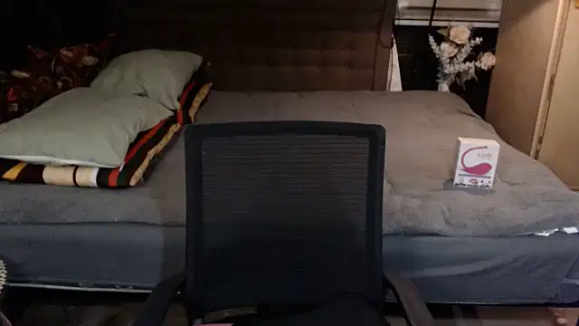 xheavenlytrans webcam