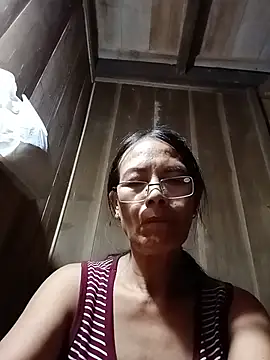toyo_668 webcam