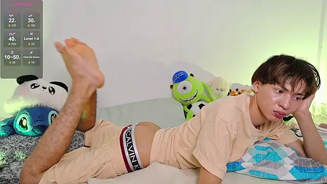 Ely_king webcam